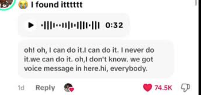 TikTok voice comments